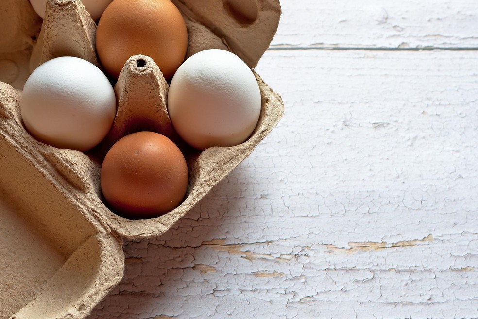 Na produção da Katayma, um bilhão de ovos por ano — Foto: Pixabay