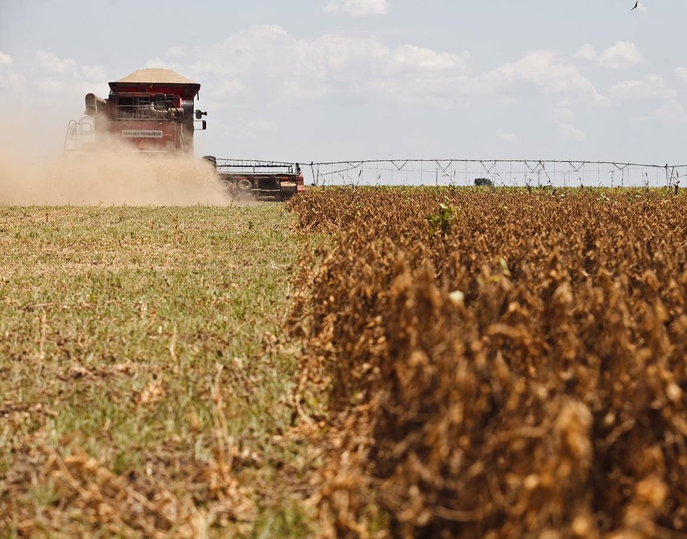 Colheita de soja em fazenda na região de Barreiras, na Bahia — Foto: Leonardo Rodrigues / Valor