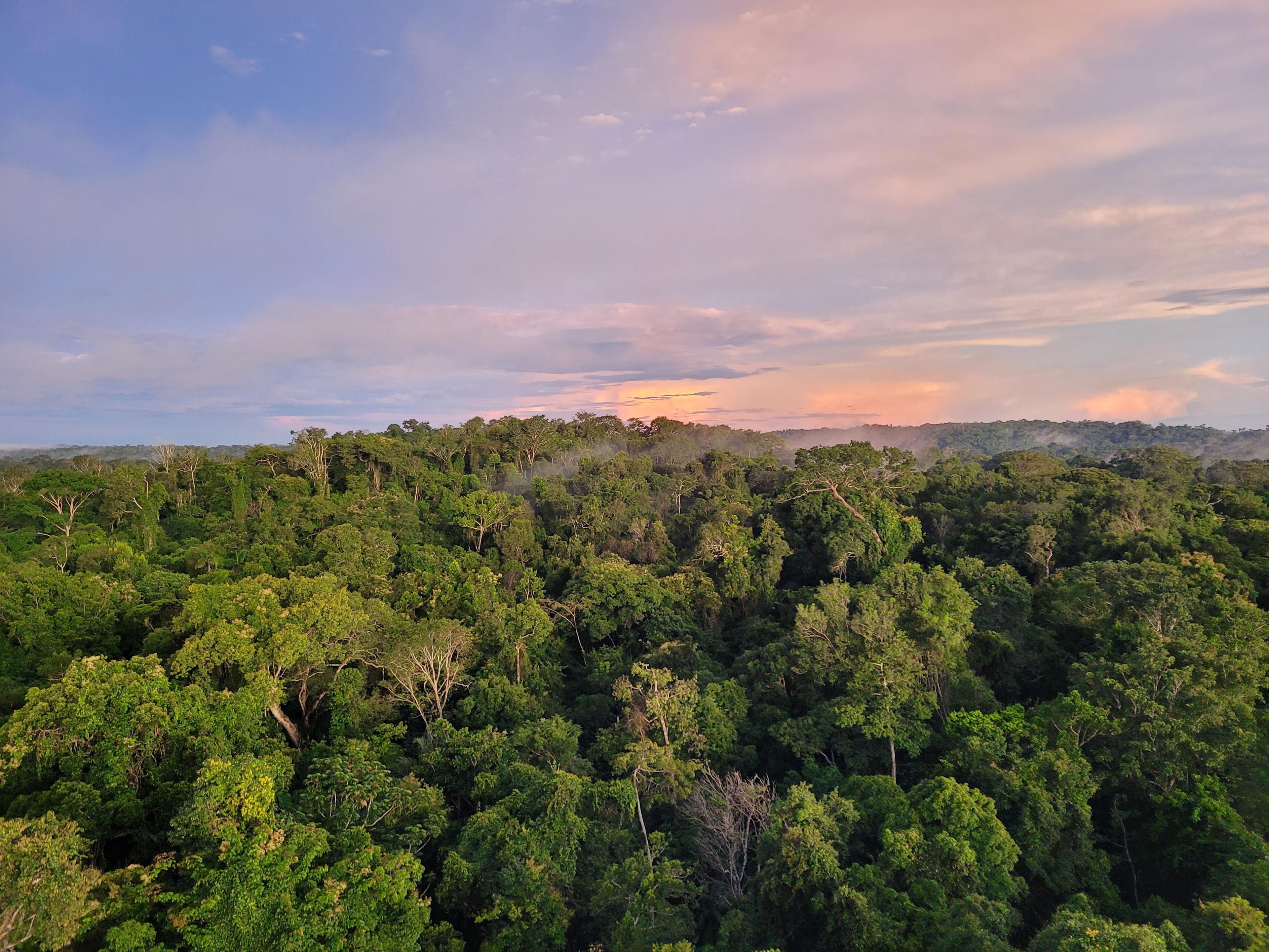 Climate Ventures e Sitawi se unem em fundo para justiça climática