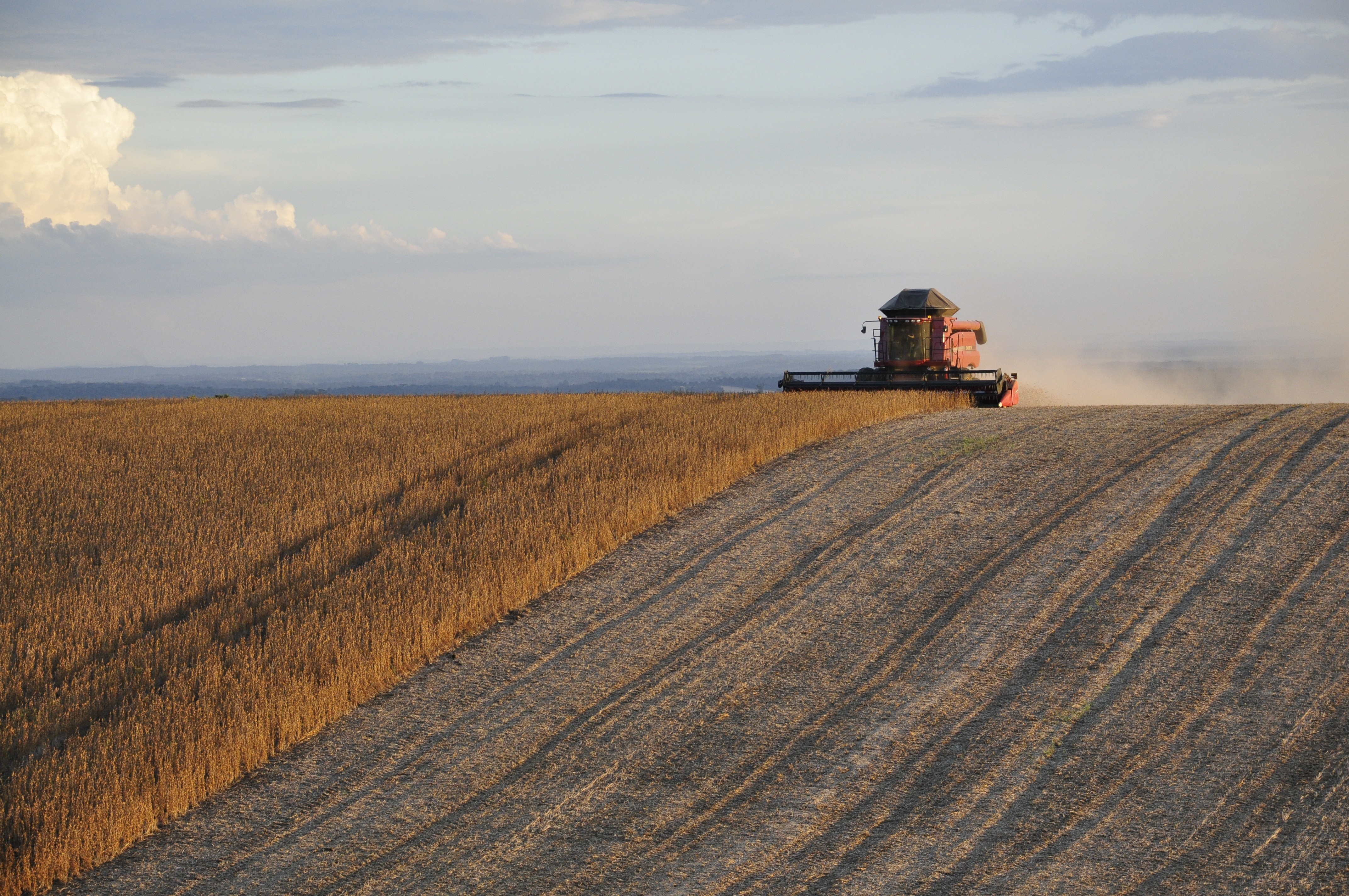 Na terceira aquisição de software, Canopy entra em agro com a Maxicon